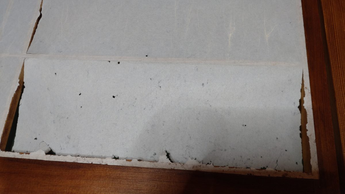 紙魚の食害で小さな穴が空いた障子